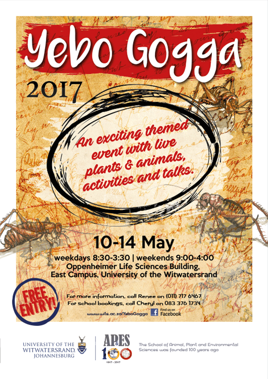 Come join us at the annual Yebo Gogga! 10-14 May 2017